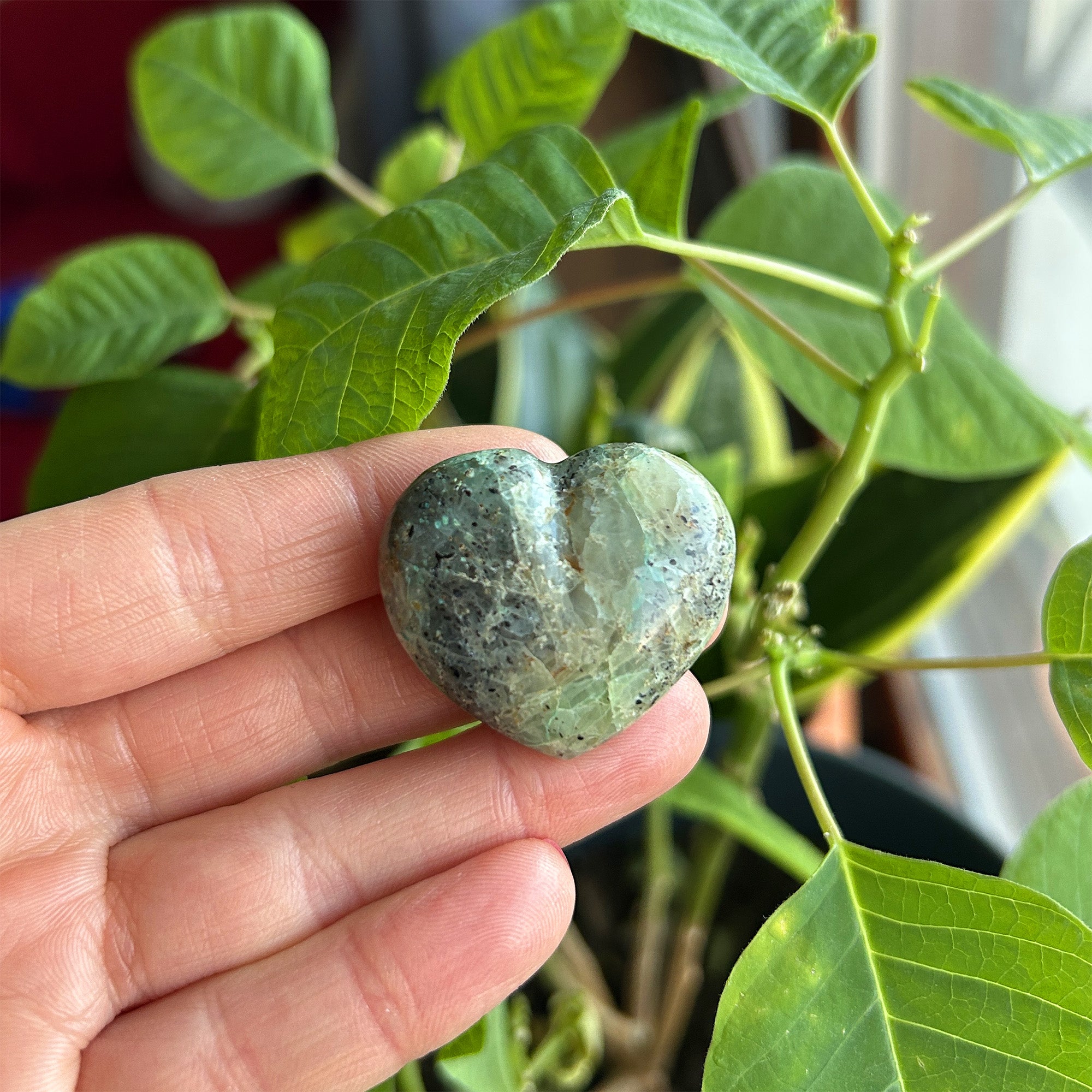 Chrysocolla Heart Crystal